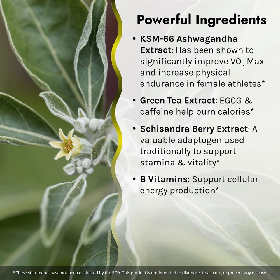 Irwin Naturals V02 Max Performance Fat Burner 60 Liquid Softgels EXP 12/2025 - Image 4 of 4