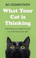 What Your Cat Is Thinking | Everything You Need To Know To Understand Your Pet