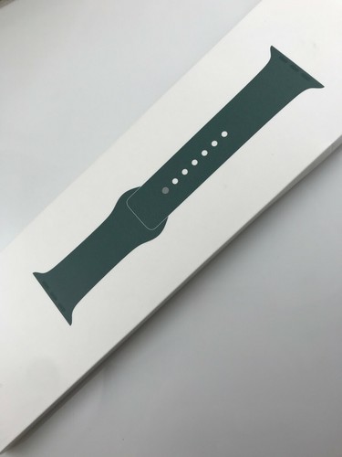 Sport Band 42mm 44mm 45MM Pine Green 