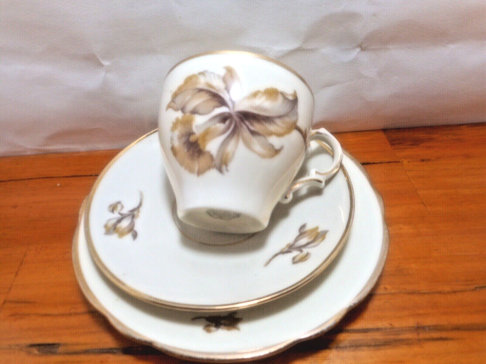 Kjøbenhavns Porcellains Maleri KPM Orchid Tea Cup Trio 1924 Antique