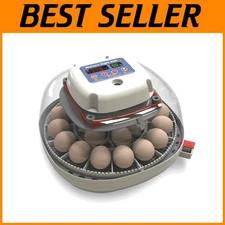 Poultry Egg Incubator - 360 Degree Visibility, Holds 22 Eggs