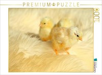 Calvendo Puzzle Three Cute Chicks | 1000 Pieces, Finished Size 25.2 × 18.9 In (6