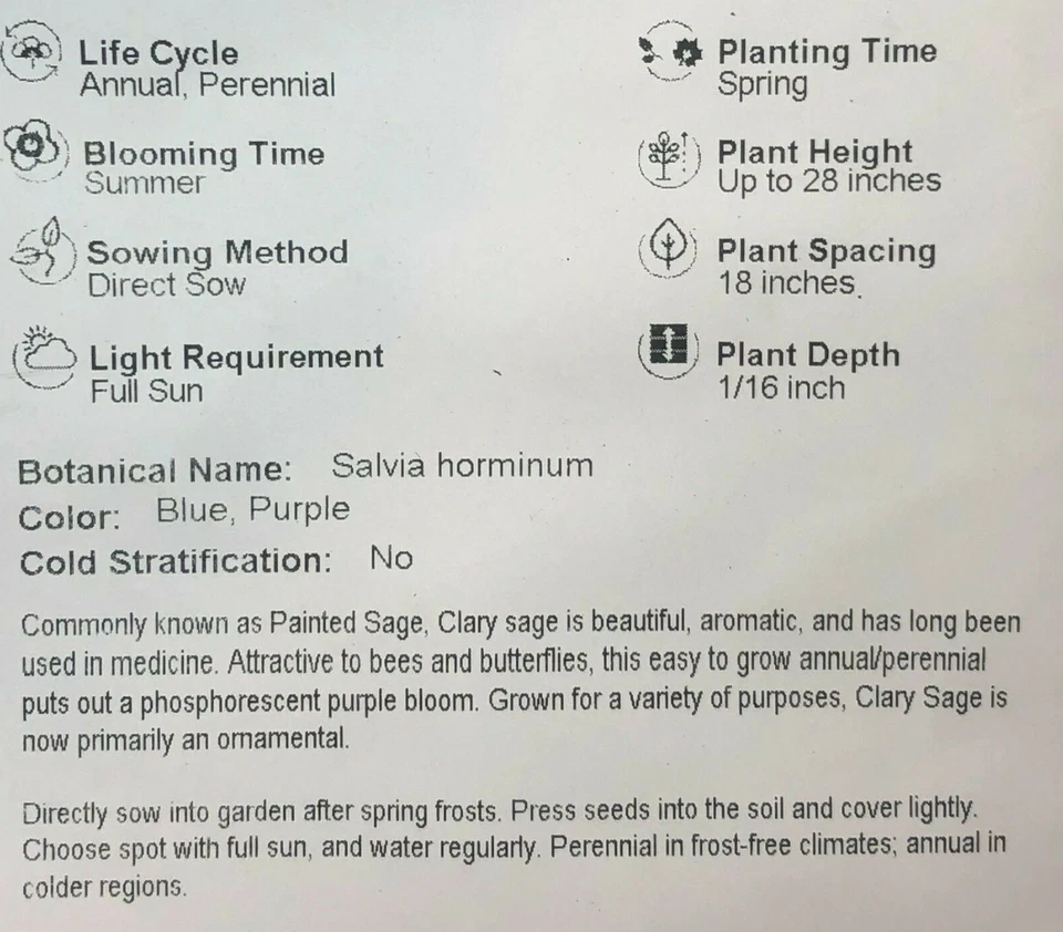 Clary Sage PINK SUNDAE Salvia aves mariposas polinizadores no transgénicos 200 semillas Foto 3 de 4