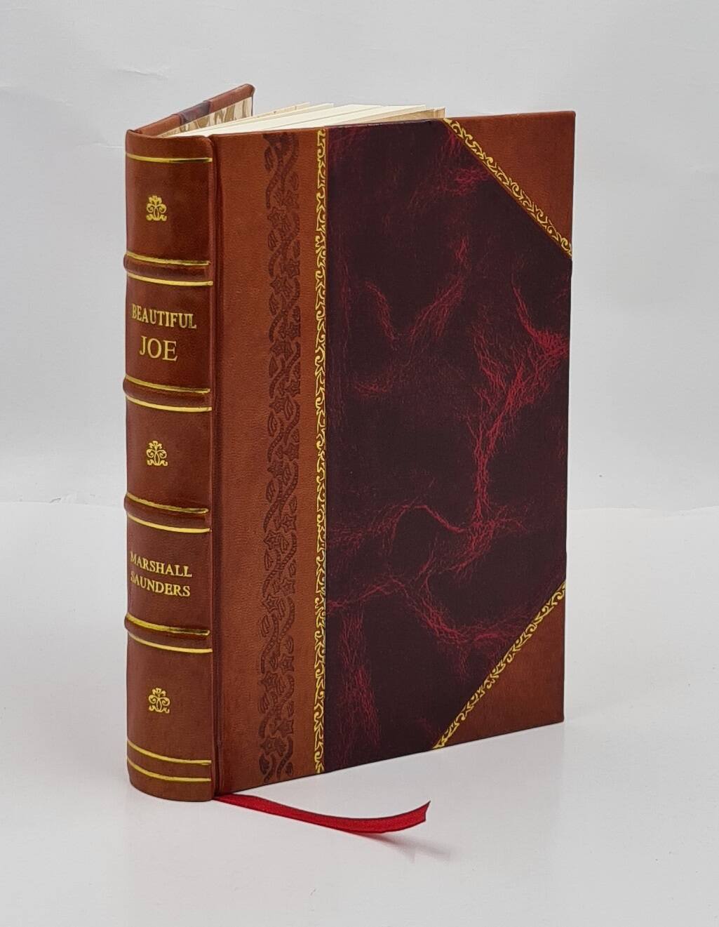 Beautiful Joe Autobiography by Marshall Saunders Leather Bound Edition