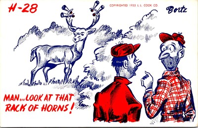 Postcard Animal Humor Bortz Nice Rack Horns Hunters B182