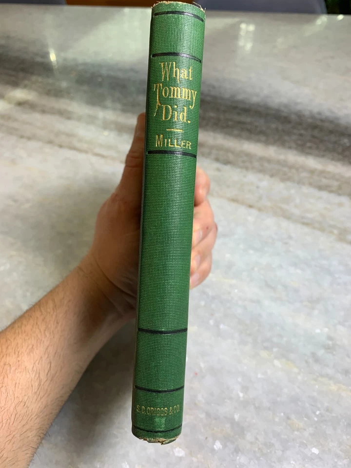 Antique Ornate Embossed Gilded Victorian Kids Kid's Book WHAT TOMMY DID 1876 - Image 4 of 4
