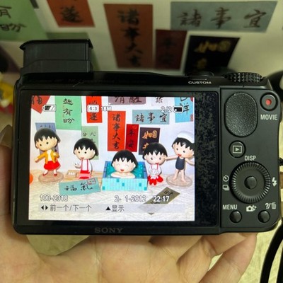 Sony Cyber-shot DSC-HX30/HX30V Digital Camera 18.2 MP 20x Optical