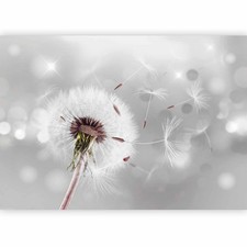 PUSTEBLUME NATUR GLANZ Fototapete Vlies Tapete xxl Wandtapete für Wohnzimmer