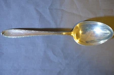 1947 SOUTHERN CHARM Alvin Sterling Silver 8 1/2"  Serving Spoon GP