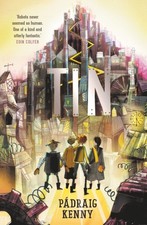 Tin by Catarina Frois (Paperback Book)