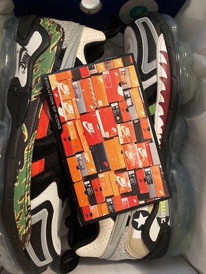 Nike Air VaporMax EVO NRG  Air Max Day Mashup  2021, DD3054-001, US Size 9.5 Men