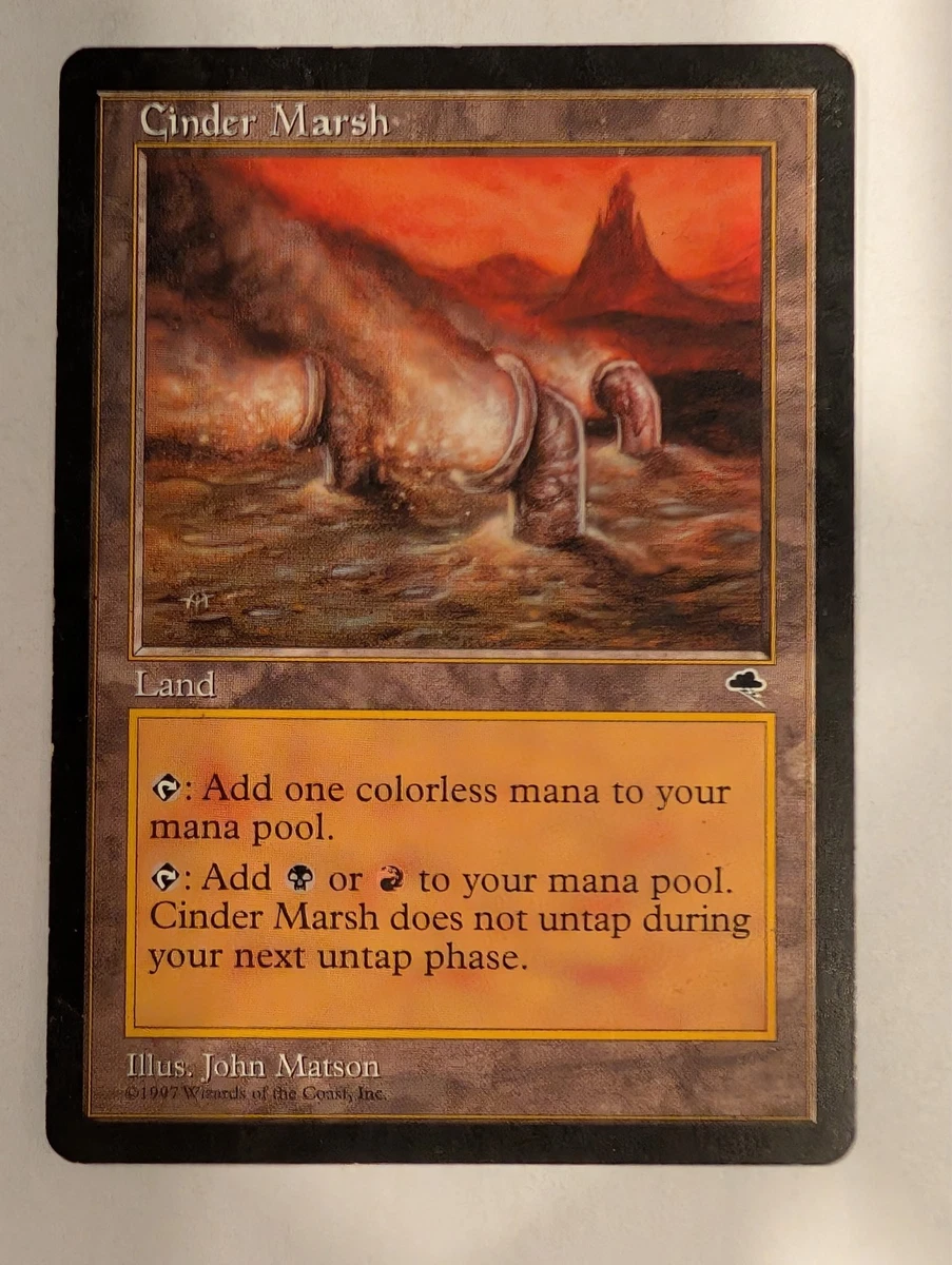 25+ Land Magic: The Gathering Trading Card Games Individual