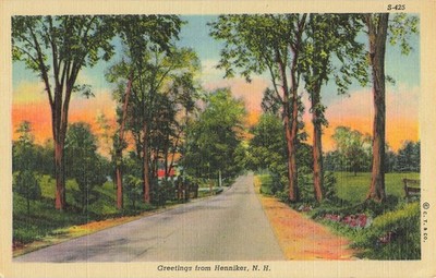 Postcard: Tree Lined Road Country Greetings from Henniker New Hampshire