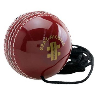 Gray-Nicolls Batting Master Hanging Ball Semi Leather