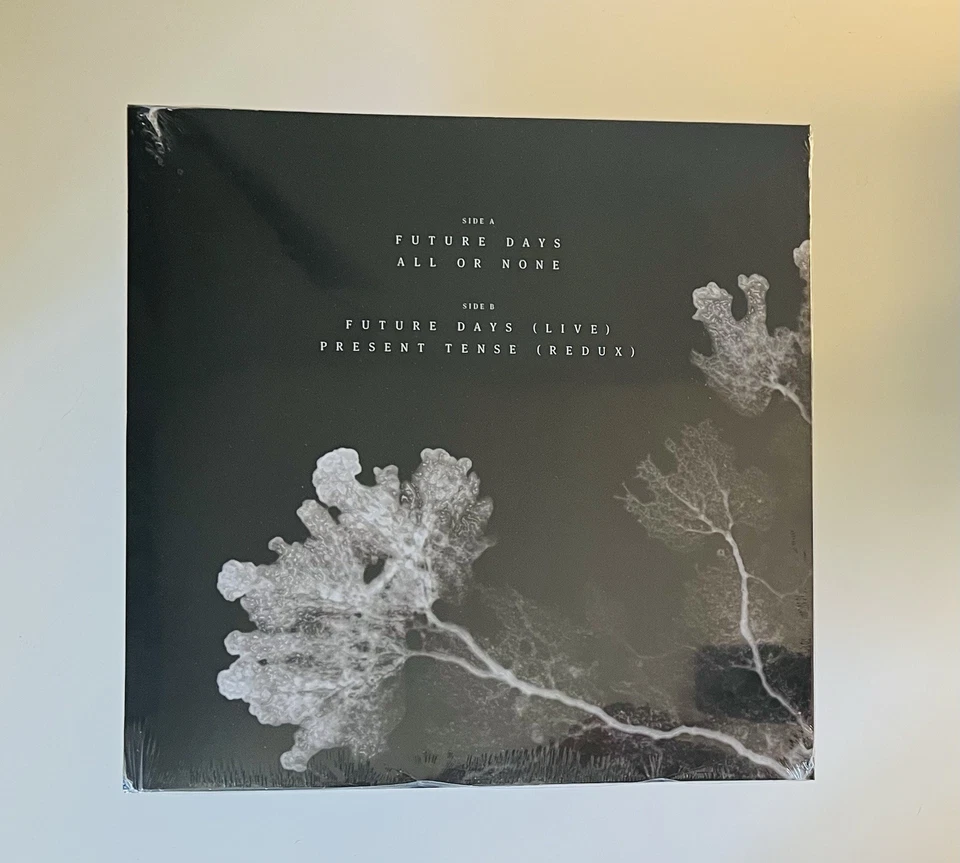 Pearl Jam - The Last Of Us Vinyl 12" [Ten Club Exclusive EP] - Image 3 of 4