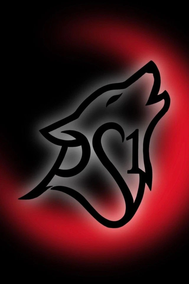First Stream, Waifu, Digimon, Sailor Moon and more