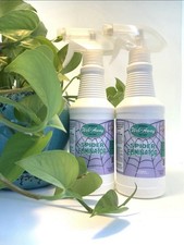 WebAway Natural Spider Repellent Spray-Non-toxic Web Eliminator Long Lasting