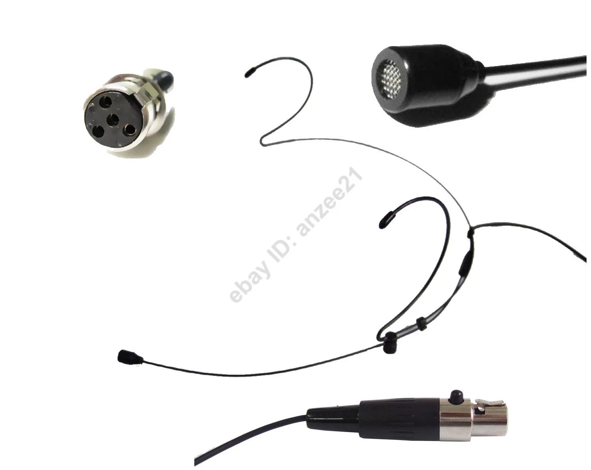 Double outlet ear microphone