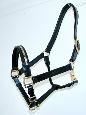 FSS Leder GEPOLSTERT KRISTALL BLING HALFTER KOPFHALSBAND Sonderanfertigung Glitzer NEU