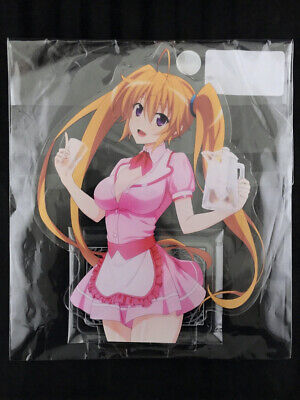 High School DxD Hero Acrylic Figure Collection