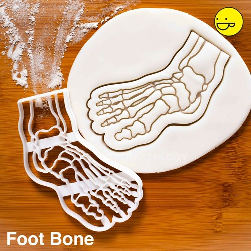 Anatomische Mensch Fuß Keksausstecher Knochen Skelett Anatomie Xray Gräten - 第 1/4 張圖片