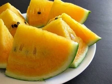 Watermelon Seeds --Missouri Heirloom Yellow Meat Water Melon 25 Seed Lot 