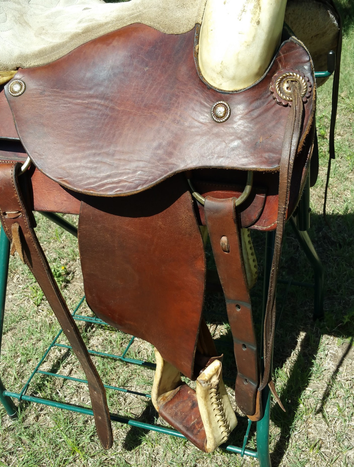 Circle T Texas 15