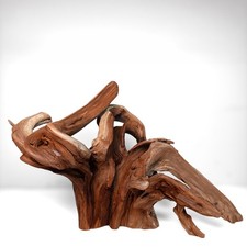 17" Manzanita Driftwood for Aquascaping, Bonsai, Terrariums, Home D cor