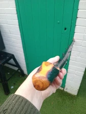 IRISH BLACKTHORN STICK  39 INCHS LONG 400 GRMS IN WEIGHT SUPER   ROOTBALL HANDLE