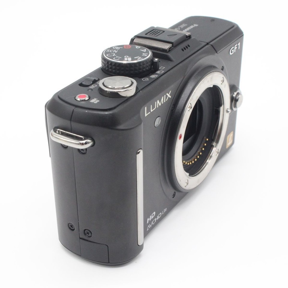 6234 shotsCharging equipment genuine PANASONIC DMC-GF1 body esprit ...