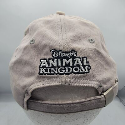 Disney Parks Expedition Everest Disney Animal Kingdom Adults 