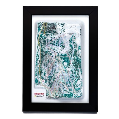Winter Park 3D Ski Map TestPlay Resort Art Decor Trail Gift Wall Art Map New