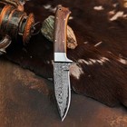 8.4" inch Damascus Steel Hunting Knife Full Tang Wood Handle Leather Sheath — photo 4