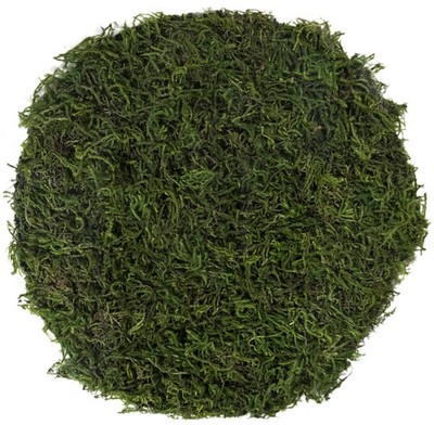 SuperMoss (26280) Mossy Placemat, Fairy Garden Table Wedding Large, Green 