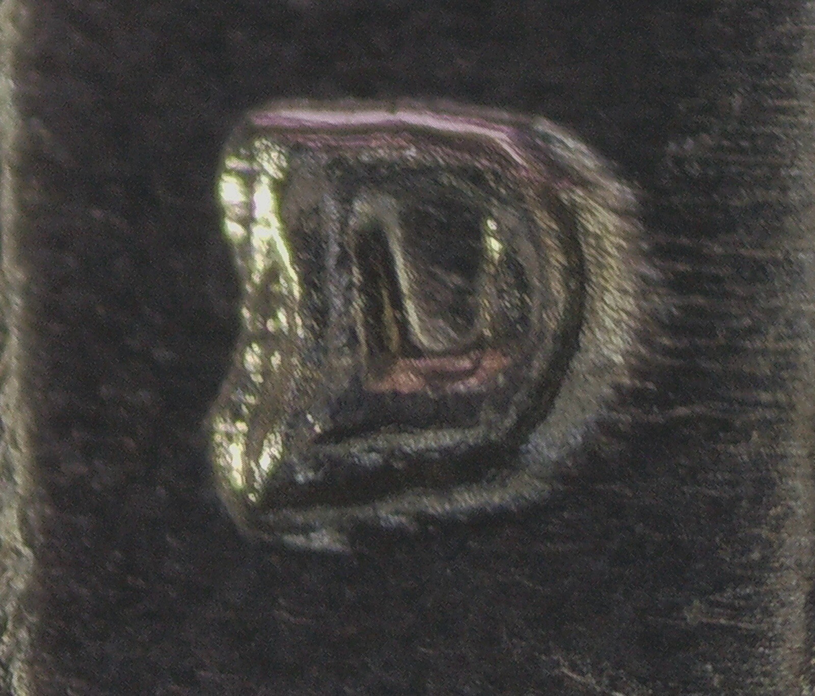 Picture 5 of 5