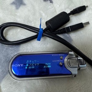 Sony Nw-E507 for sale | eBay