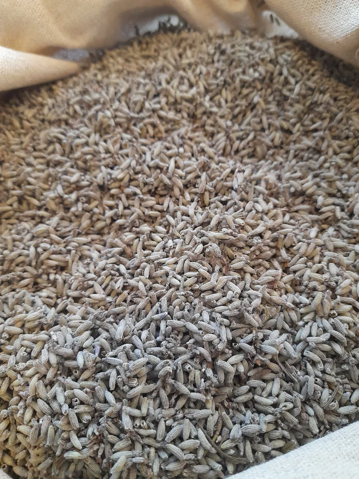 1 Kg Fiori di lavanda secchi sfusi (sgranati) – Prodotto 2025 - Image 3 of 4