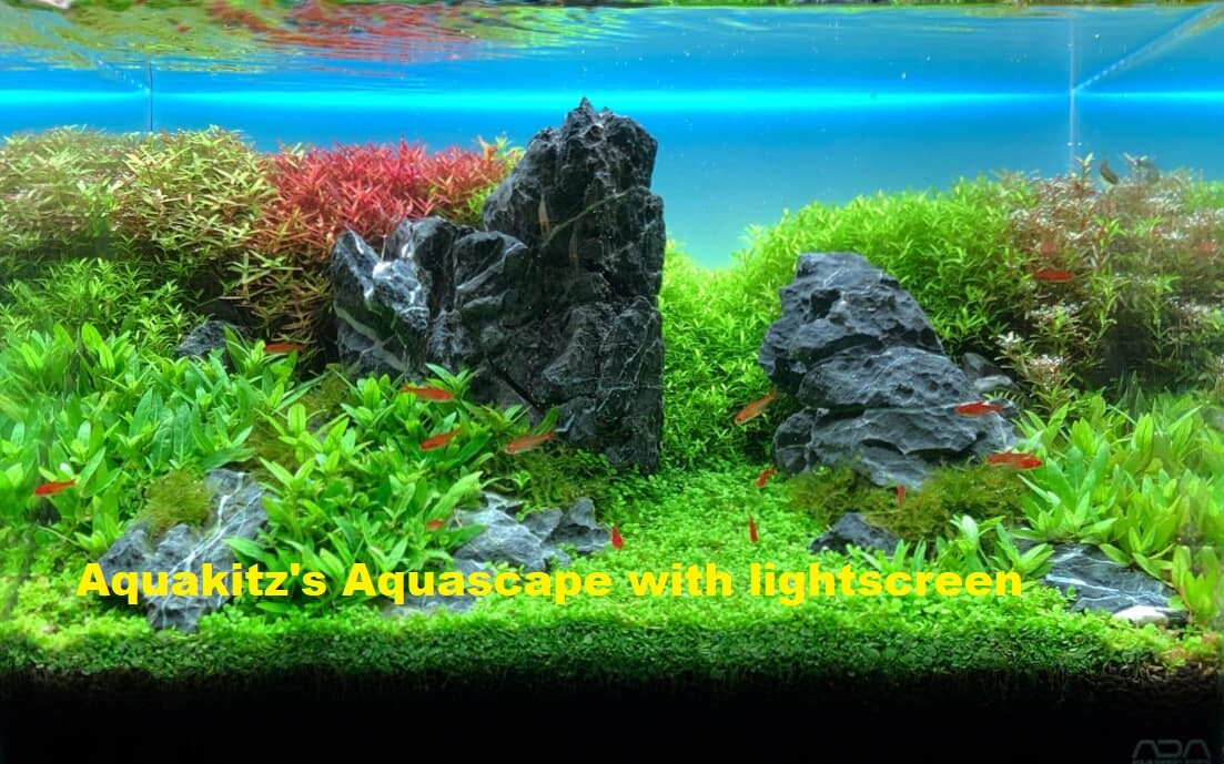 Aquarium Light Screen LED Designed for Aquascape backlight Aquarium Light Screen LED Designed for Aquascape backlight