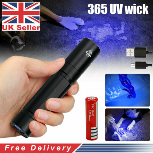 DARKBEAM UV Taschenlampe uv Lampe 365nm Licht USB Aufladbar, Woodsche Lampe Schwarzlichtlampe Klein Schwarzlicht Taschenlampe Mini LED für Resin Härten, Bernstein, Urindetektoren, mit UV-Brille