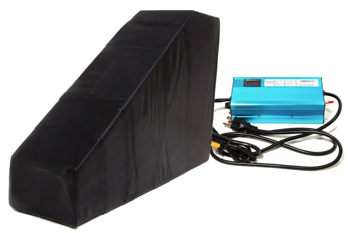 Luna cycle charger sale