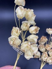 2 Vintage Cream Rosebud Bunches Millinery Hat Flower UNUSED Japan