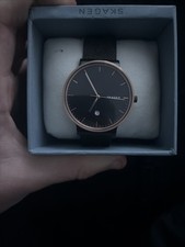 Skagen Men's Stainless Steel Quartz