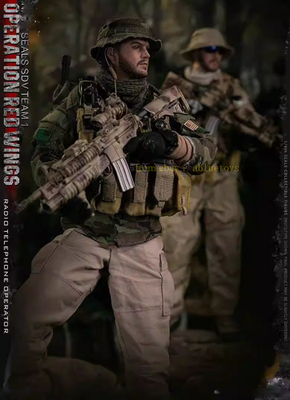 Damtoys 1/6 78081 Operation Red Wings Action Figure In Stock