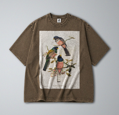 100% Cotton Tee - Unisex Retro Oversized Fit - Colorful Perching Birds Print