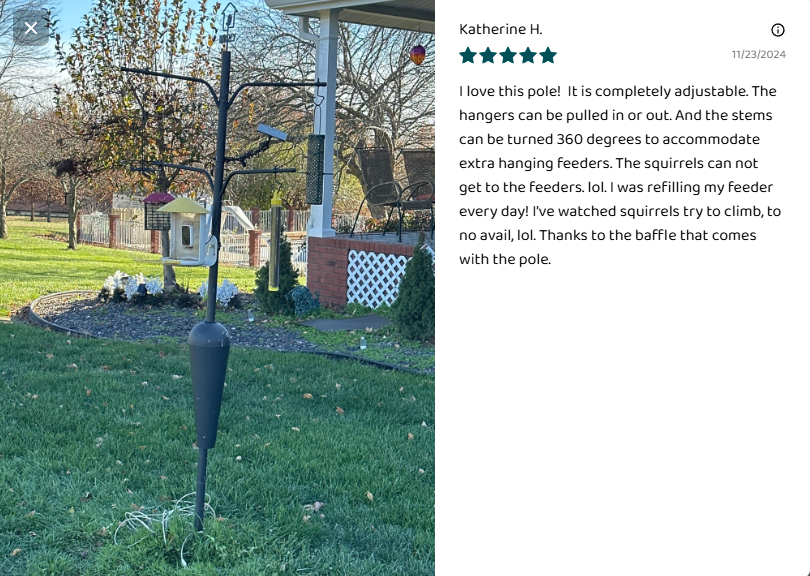 Birdfly Bird Feeder Pole with Smart Solar Camera, Anti Squirrel, heavy ...