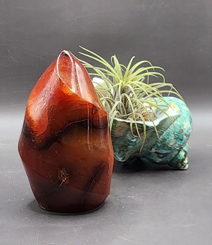 Handcarved Natural Stone Druzy Carnelian Crystal Twisted Flame Figure 3.5"