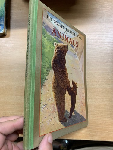VINTAGE "THE GOLDEN PICTURE BOOK OF ANIMALS" ILLUSTRATED HARDBACK BOOK (P3) - Picture 2 of 12
