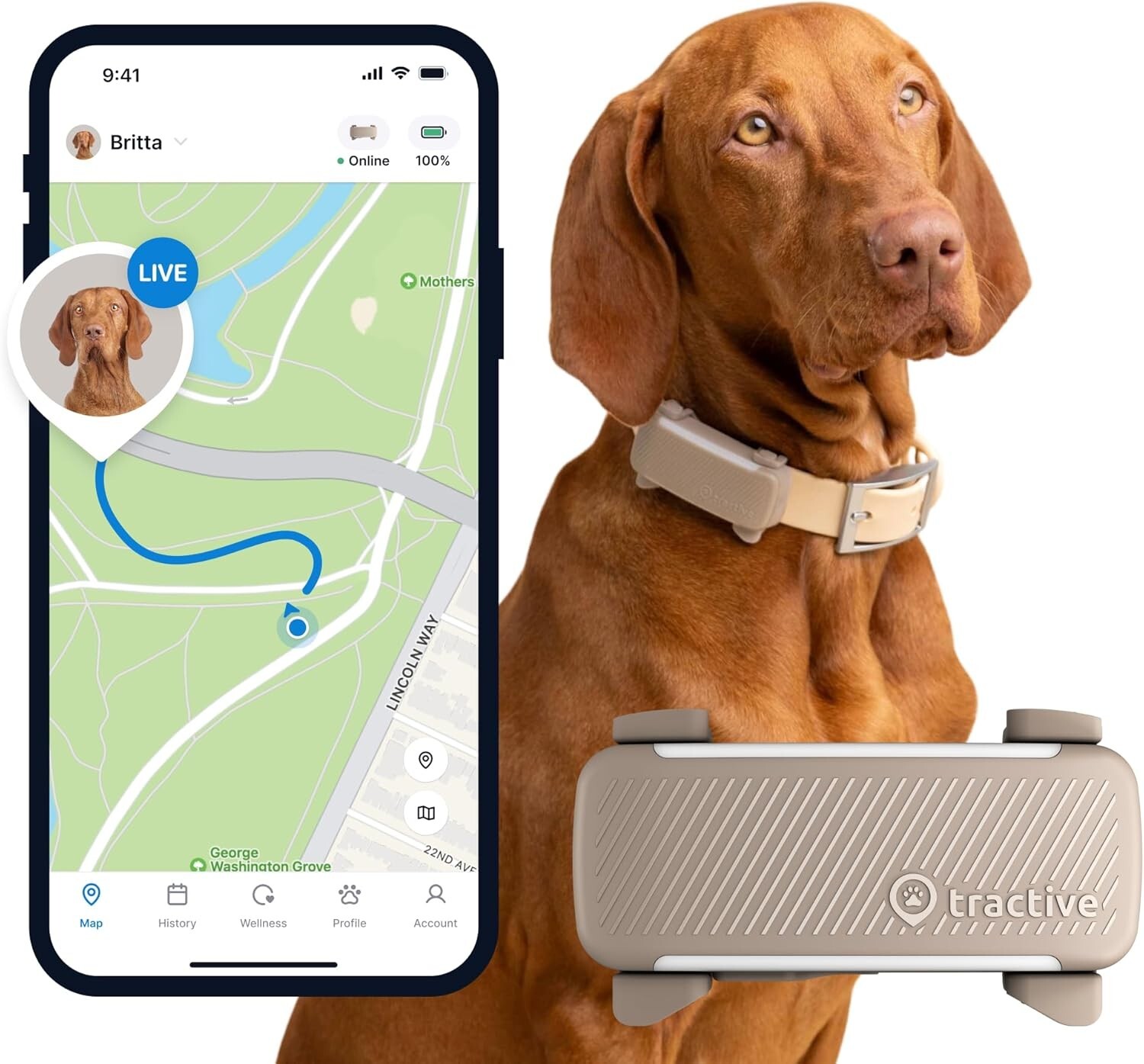 Collier GPS pour chien étanche avec traceur de localisation en direct