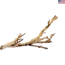 Indoor/Outdoor Small Forest Branch - Perfect for Rainforest or Desert Terrariums