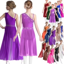 Kid Girl Latin Lyrical Dance Costume Sheer Mesh Ballet Skirted Leotard Dancewear